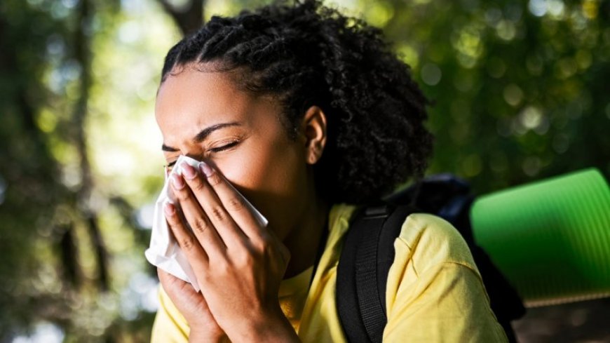 Newfound immune cells are responsible for long-lasting allergies