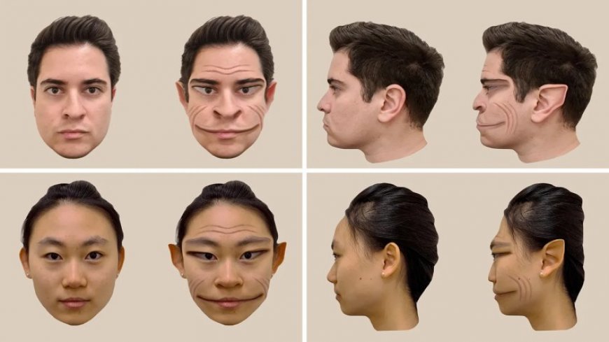 Here’s what distorted faces can look like to people with prosopometamorphopsia