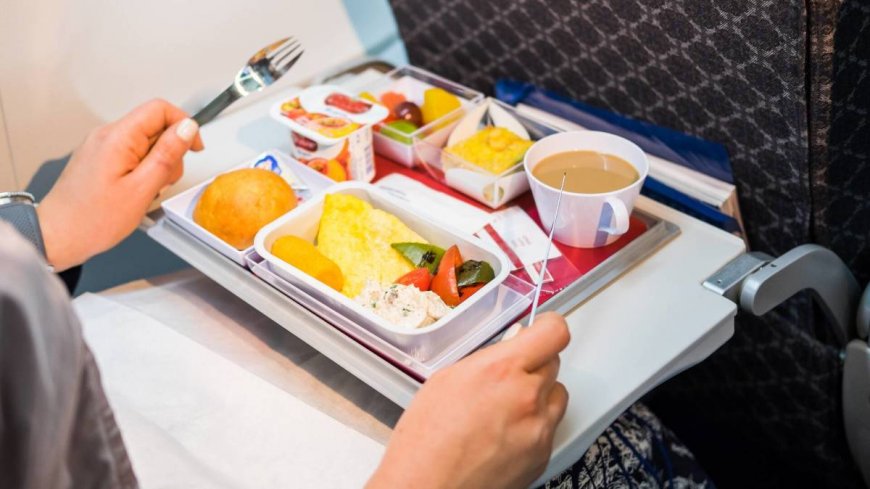 A photo of an airline's bad vegetarian meal is going very viral