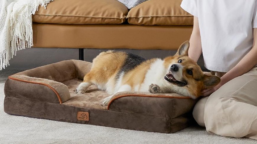 One of Amazon's bestselling dog beds that pets 'nap in for hours' is on sale for nearly 50% off, but not for long