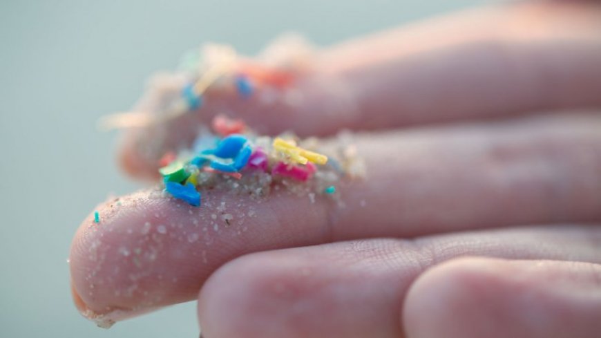 A new study has linked microplastics to heart attacks and strokes. Here’s what we know 