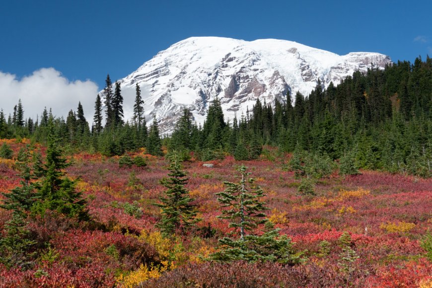 Another National Park just made it more difficult for you to visit