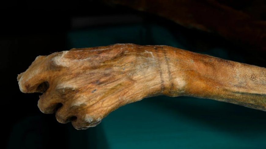 How Ötzi the Iceman really got his tattoos