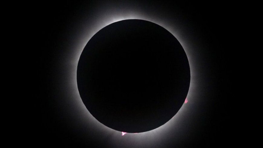 ​​During the awe of totality, scientists studied our planet’s reactions