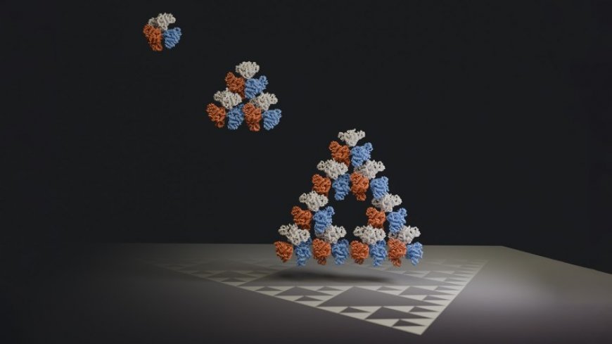 Scientists find a naturally occurring molecule that forms a fractal
