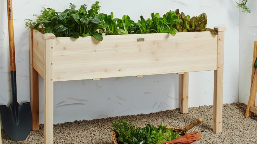 A top-selling raised garden bed that's 'definitely a back saver' is on sale for $90 at Amazon