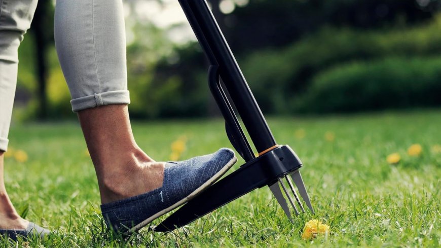 This weed puller that Amazon shoppers call a 'magic wand' is flying off the site while on sale for under $50