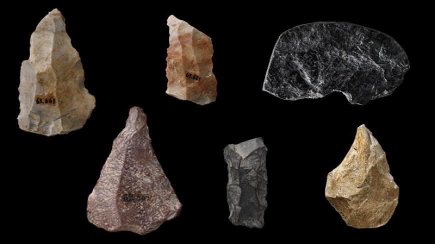 A puzzling mix of artifacts raises questions about Homo sapiens’ travels to China