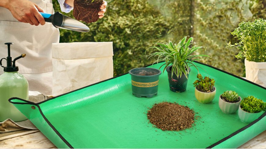 The no. 1 bestselling garden tool at Amazon that 'saves so much mess and cleanup time' only costs $9