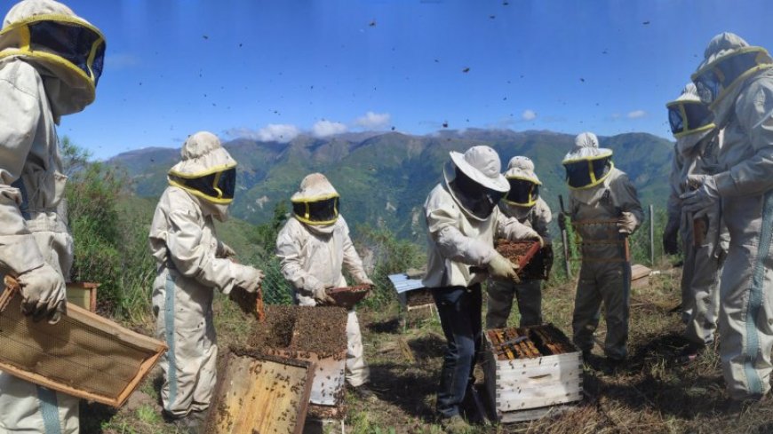 Ximena Velez-Liendo is saving Andean bears with honey