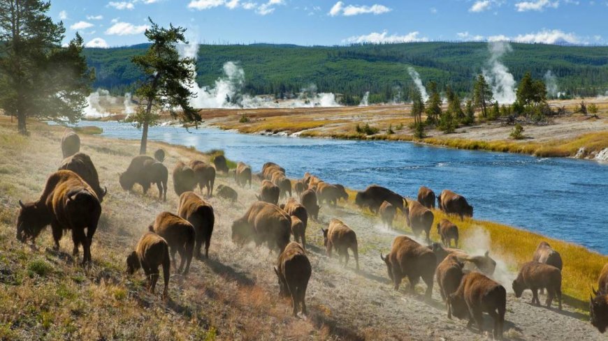 National Park visitor becomes first to get arrested for this in 2024