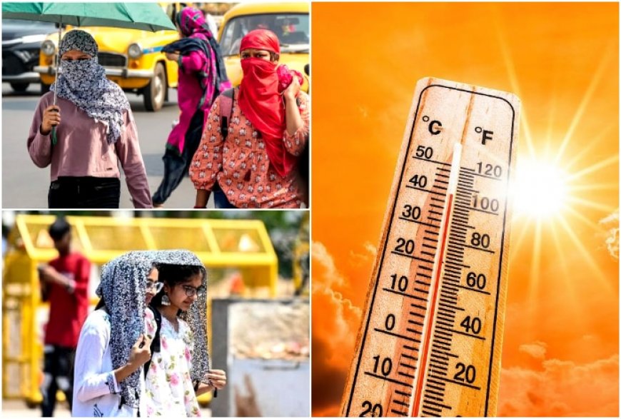 Severe Heatwave in May: IMD Issues Warning To THESE States, Orange Alert For Heavy Rainfall in NE | Check Forecast