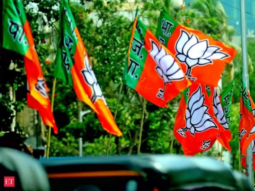 Odisha Assembly Election 2024: BJP Releases List of 6 Candidates; Shambhunath Rout To Contest From Ghasipura