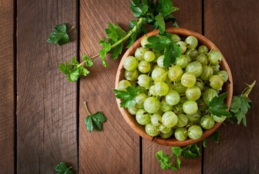 Should You Eat Amla in Summers? All You Need to Know About Indian Gooseberry