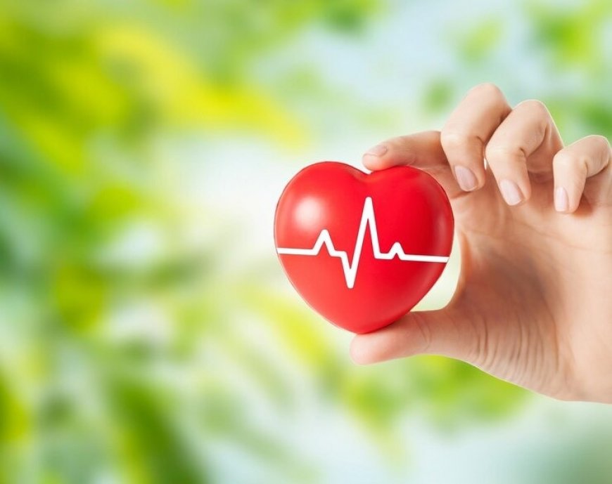 Heart Health Tips: 12 Proactive Steps to Reduce The Risk of Cardiovascular Diseases