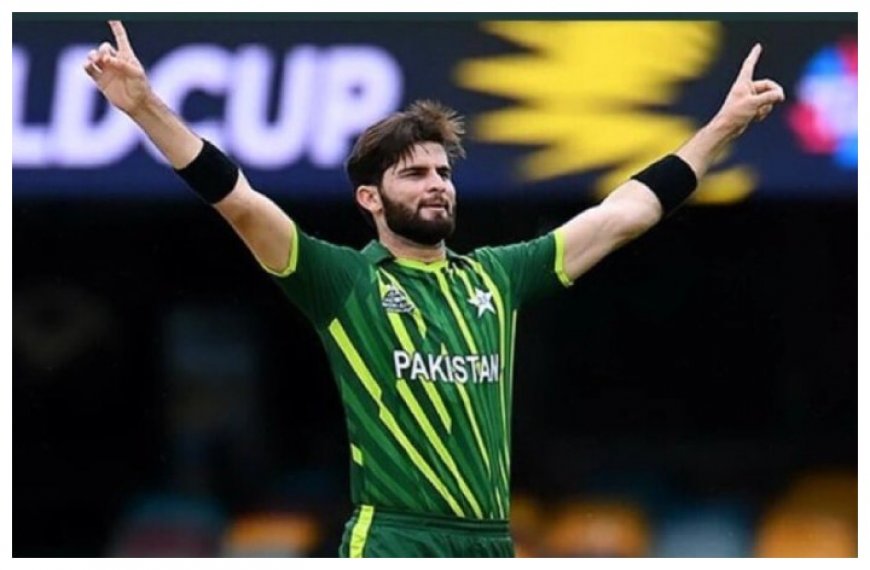 ICC Men’s Player of The Month: Shaheen Shah Afridi, Gerhard Erasmus, Muhammed Waseem Shortlisted For April