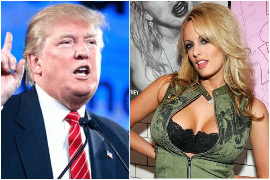 ‘You Make Phony Stories About Sex Appear Real’: Trump’s Lawyer vs Stormy Daniels Heated Moments At Hush Money Trail