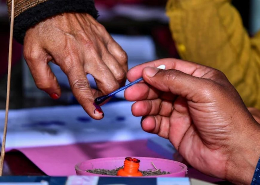 Lok Sabha Elections 2024 Phase 4 Begins: Check List of Documents Required For Voting Today