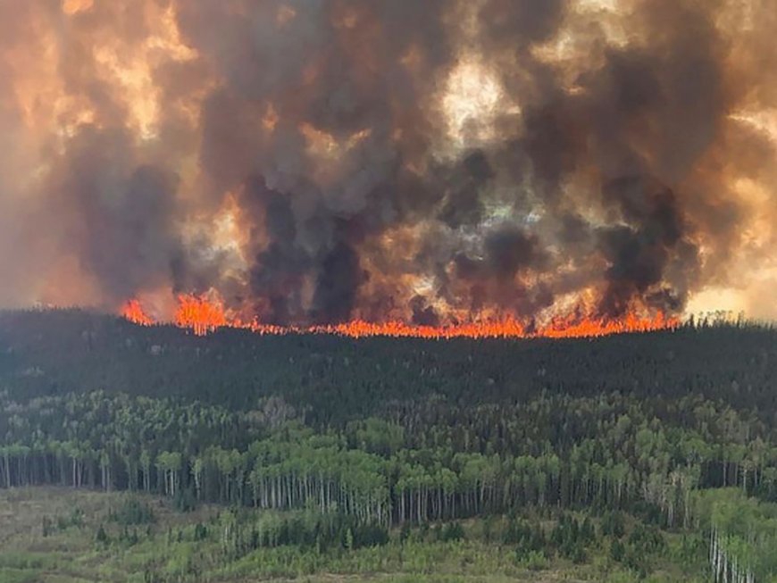 Canada Wildfires: Thousands Displaced, Govts Issue Alert; Check List Of Affected States