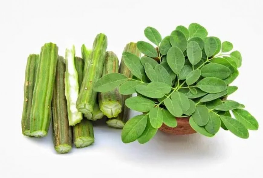 Drumsticks Benefits: 7 Reasons Moringa Can Be a Healthy Addition to Summer Diet