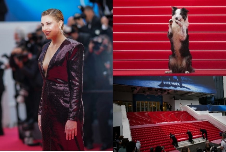 Cannes 2024: How It Works, Who Attends, All You Need to Know From Standing Ovations to The Juries to The Palm Dog