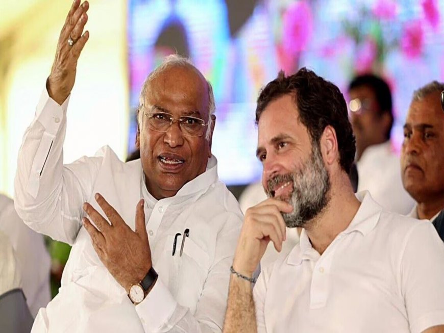 Lok Sabha Elections 2024: ‘Will Give 10 Kg Free Ration To Poor If INDIA Bloc Wins’ Announces Congress President Kharge