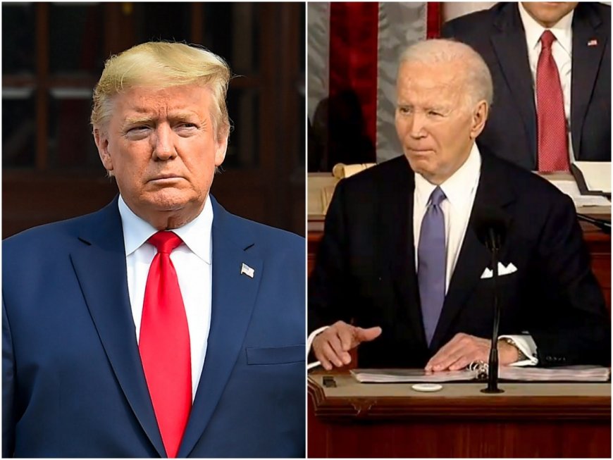 US Presidential Elections: Donald Trump, Joe Biden Set To Debate In June, September