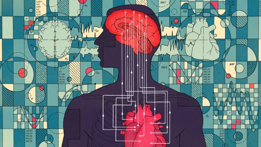 The heart plays a hidden role in our mental health