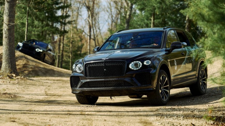 Cybertrucks can't touch this posh Bentley's off-road skills