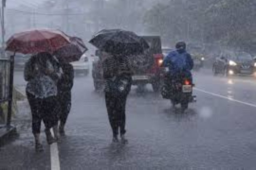 Extremely Heavy Rainfall Predicted For Kerala on Sunday And Monday, IMD Issues Red Alert