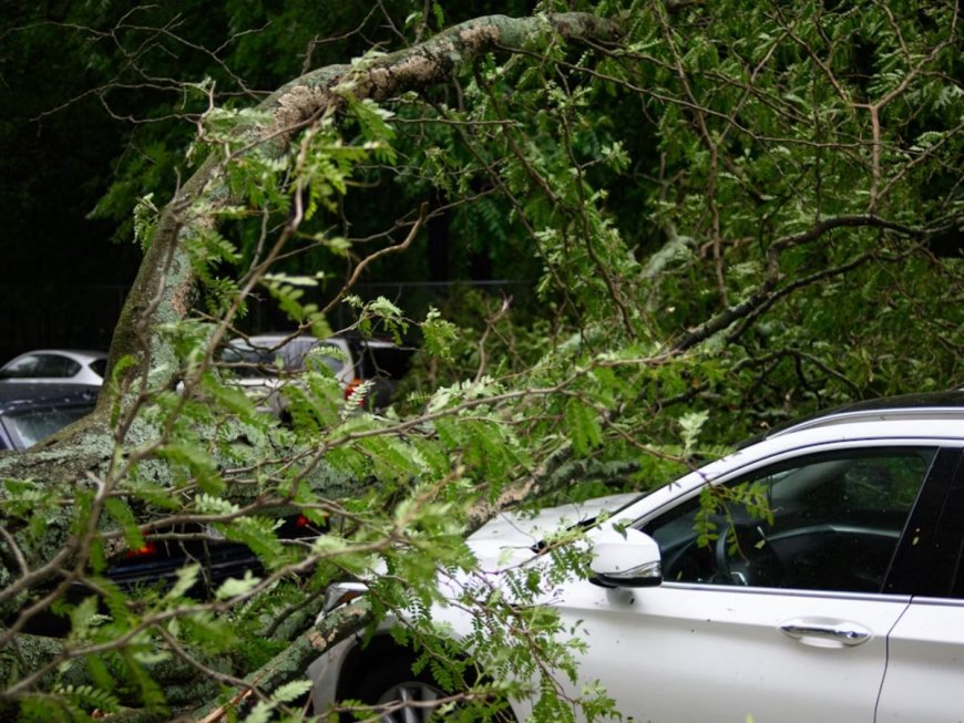 US Car Crash: 3 Indian-Origin Students Killed, 2 Injured As Driver Lost Control Due To Overspeeding