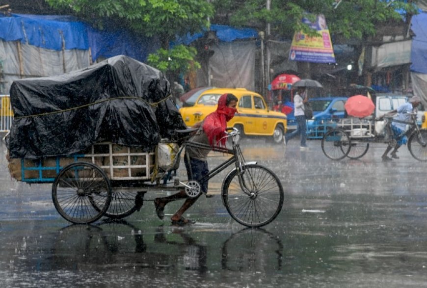 Tamil Nadu Weather Update: IMD Issues Yellow Alert For 25 Districts, Heavy Rains Predicted in Chennai