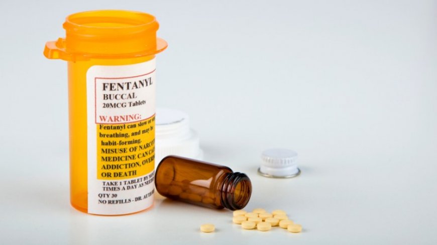 Two distinct neural pathways may make opioids like fentanyl so addictive