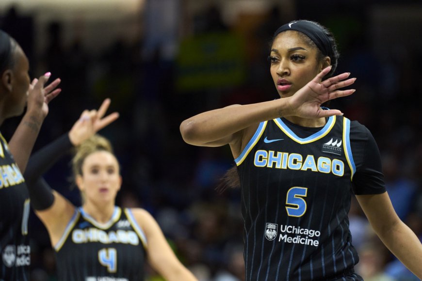 WNBA rookie Angel Reese is now the (partial) owner of a pro sports team