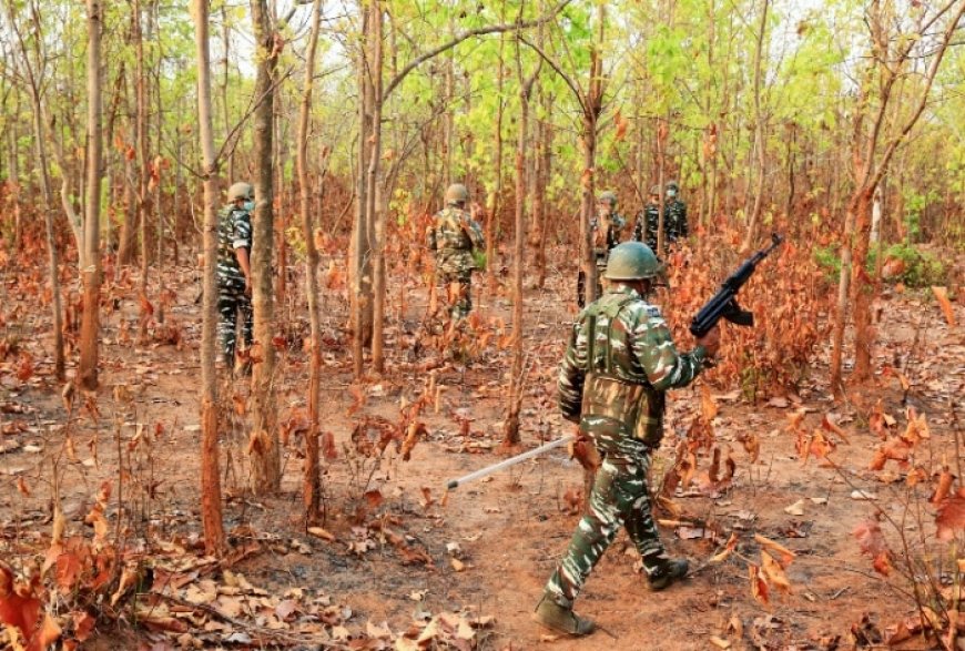 7 Maoists Killed in Gunfight in Chhattisgarh, Weapons Recovered | Details Inside