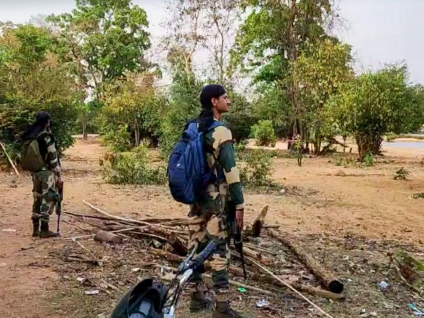 Eight Naxalites Killed in Last 72 Hours by Security Forces in Chattisgarh