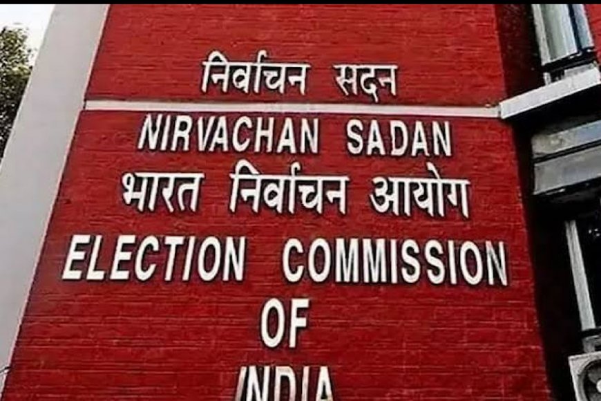 Election Commission Of India Releases Absolute Number Of Voters For All Completed Phases: COMPLETE DATA INSIDE