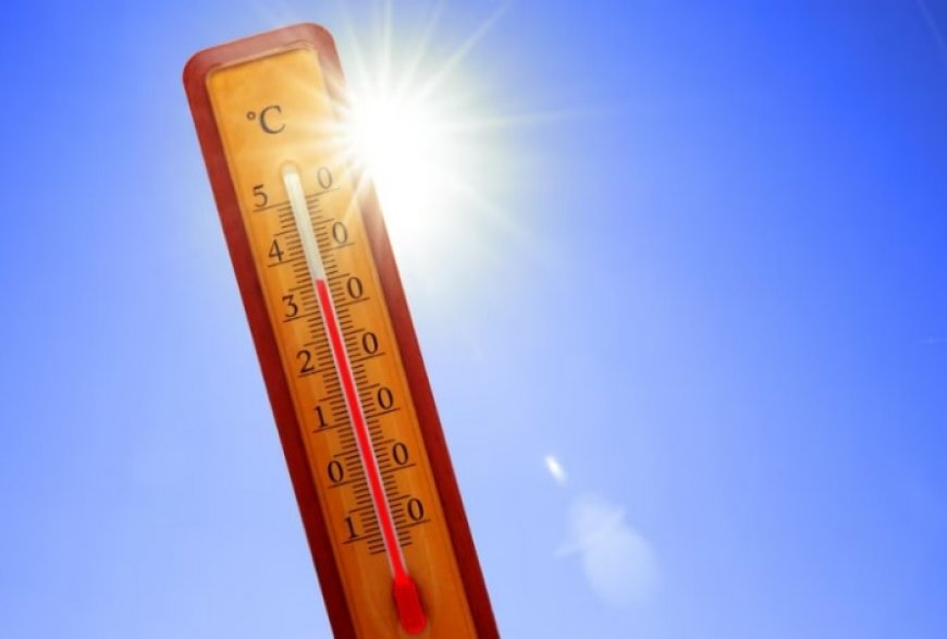 What Happens During a Heatstroke? Here is Why It is Damaging to Body and 5 Ways to Manage it