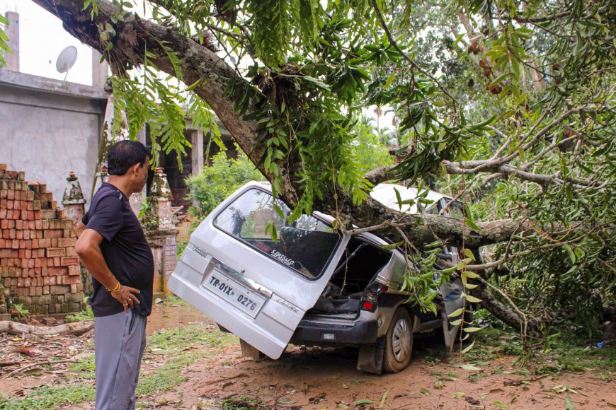 Cyclone Remal Aftermath: Trail Of Death And Destruction In Nagaland, West Bengal South Coast