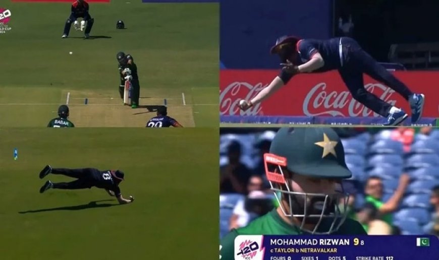 Steven Taylor ONE-HANDED Catch to Dismiss Mohammed Rizwan During USA vs PAK T20 WC 2024 Game; Video Goes VIRAL | WATCH