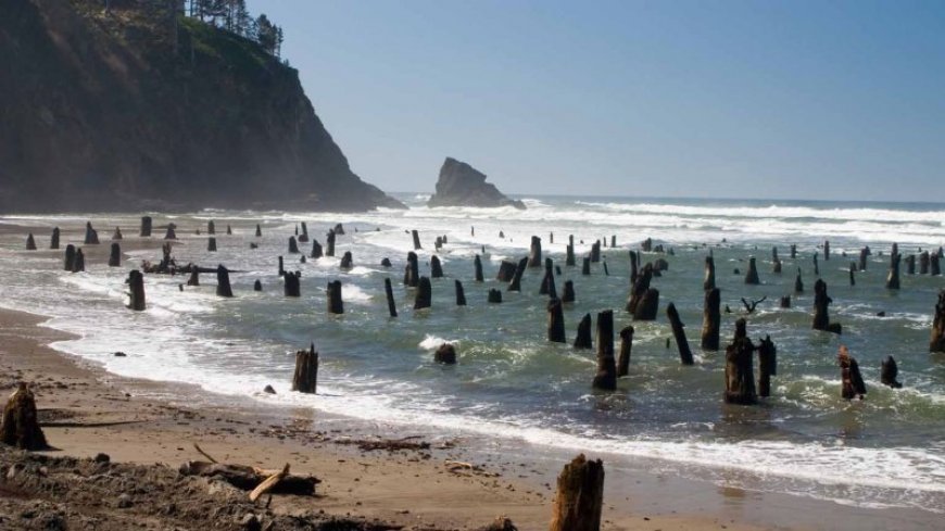 Geoscientists found the most dangerous part of a famous West Coast fault
