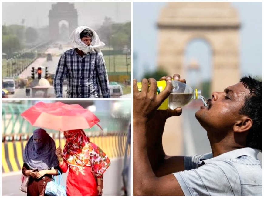 Severe Heatwave Alert Issued In Delhi, Uttar Pradesh Today; IMD Predicts Rain In These States