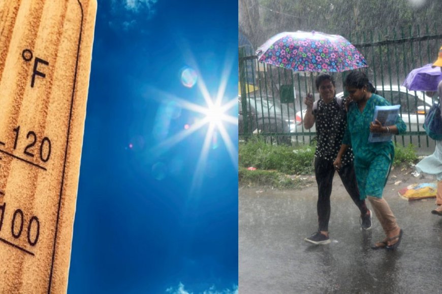 Haryana, Punjab Continue To Reel Under Blistering Heat; Monsoon Progresses In THESE States