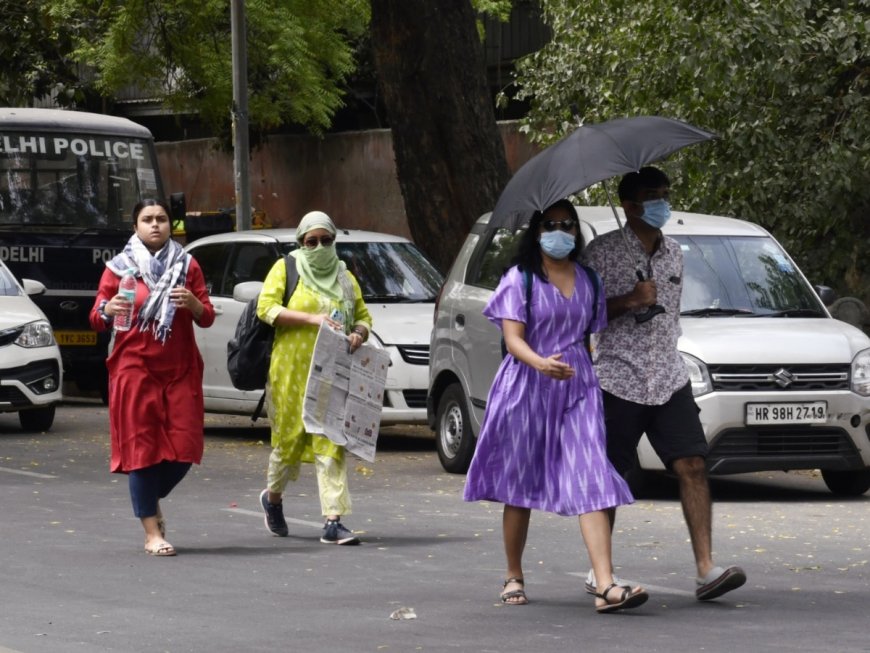 Delhi Heatwave: Kejriwal Govt Issues Circular To Senior Doctors After Temperatures Soar in National Capital