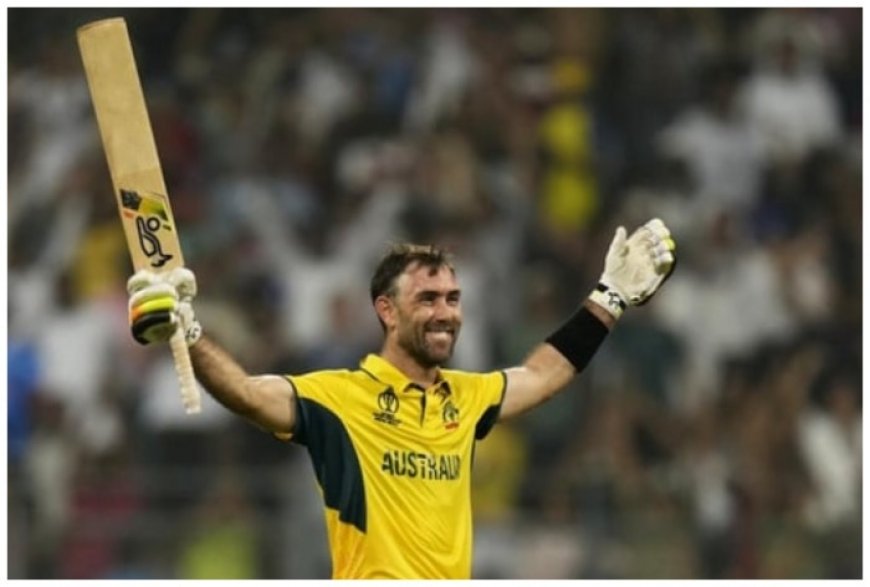 Glenn Maxwell Decodes Reason Behind Travis Head, David Warner Complementing Each Other In Opening Slot