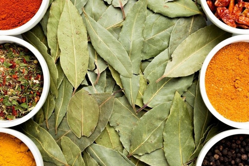 Is it Beneficial to Consume Curry Leaves Daily? Here’s What You Need to Know