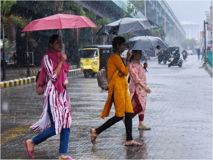 Uttar Pradesh Monsoon Update: Rain Lashes Parts of Noida City, Temperature Dips Marginally