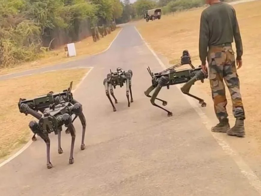 Indian Army To Induct ‘Four-Legged Soldiers’ To Its Squad Soon; Know All About Remote-Controlled MULE Robot Dogs