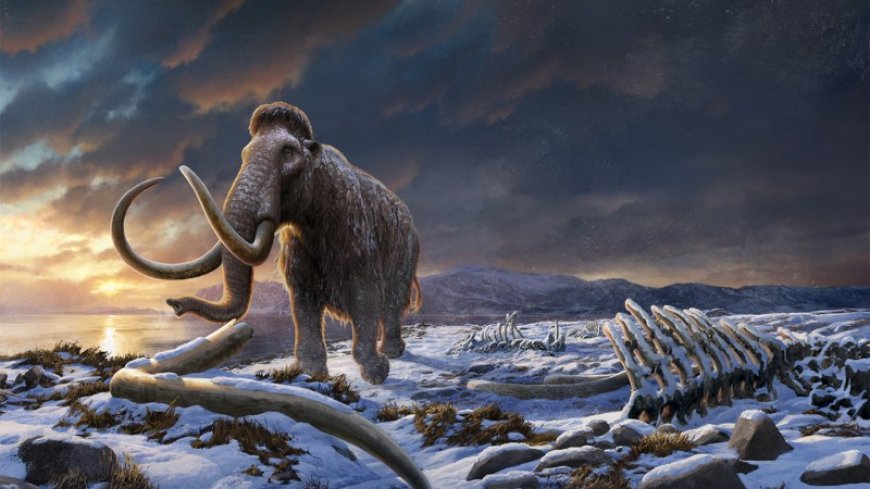 The last woolly mammoths offer new clues to why the species went extinct