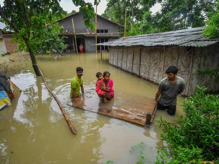 Heavy Rains Wreak Havoc in Assam: 6.71 Lakh People Affected in Severe Flood, Wildlife in Kaziranga Seeks Refuge